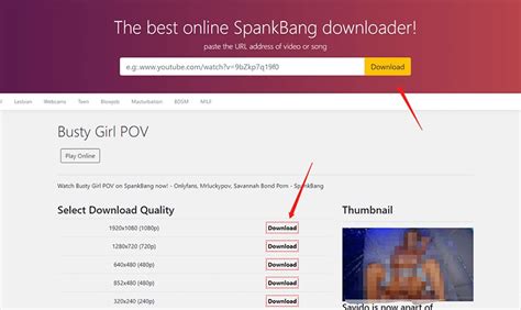 spankbang download video|Best Online SpankBang Video Downloader